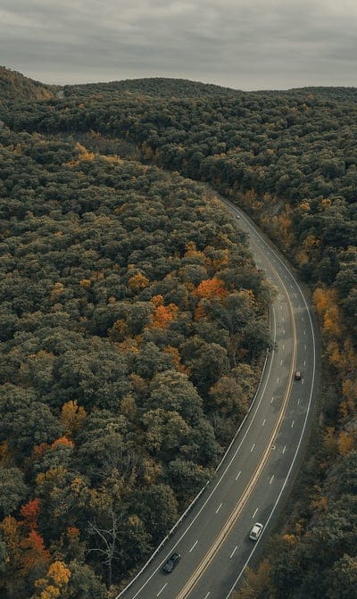 road, trees, autumn, car, marking, mobile wallpaper, android wallpaper, iPhone wallpaper, phone wallpaper