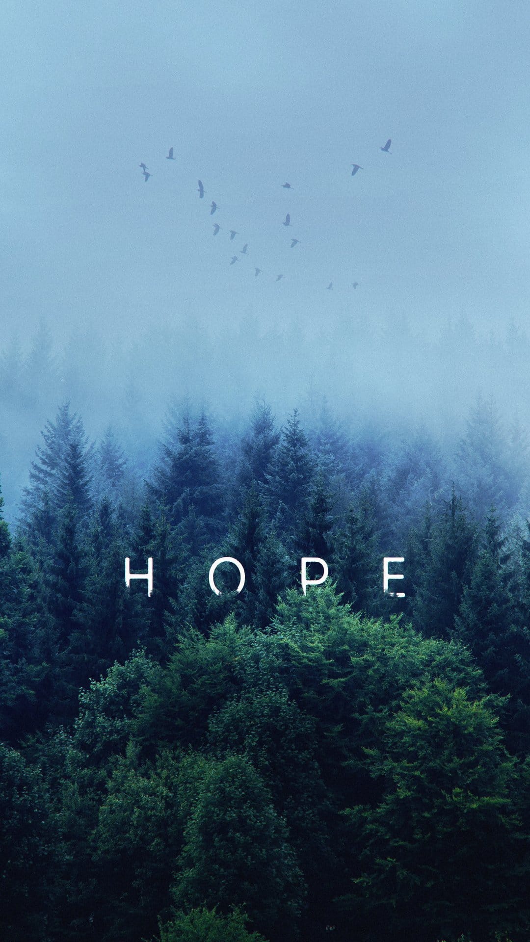 Birds fly in V-formation above misty evergreen trees with white hope text centered at the bottom of the frame.