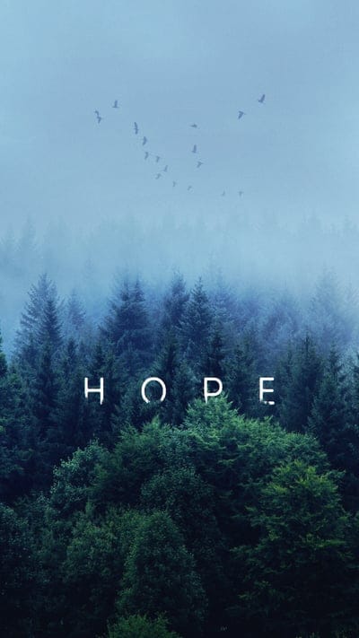 hope,inscription,words,forest,fog