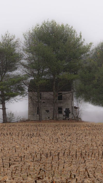 Abandoned house, rural, nature, landscape, peaceful, serene, tranquil, outdoor, trees, field, mist, fog, mysterious, melancholic, quiet, desolate, farm, rustic, atmosphere, silent