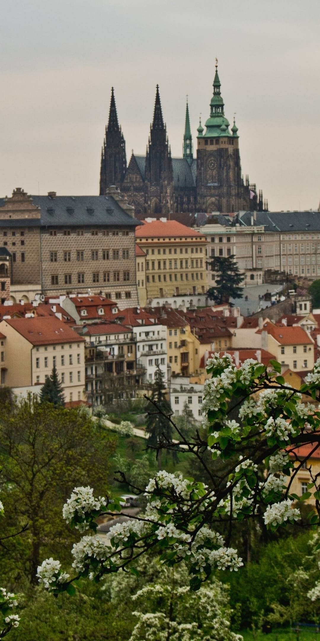 Prague Castle spires rise above white spring blossoms and lush green trees overlooking a historic European city.