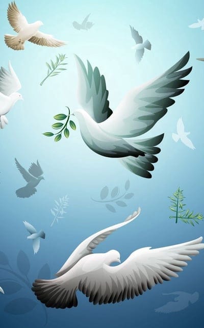 drawing,bird,dove,flying