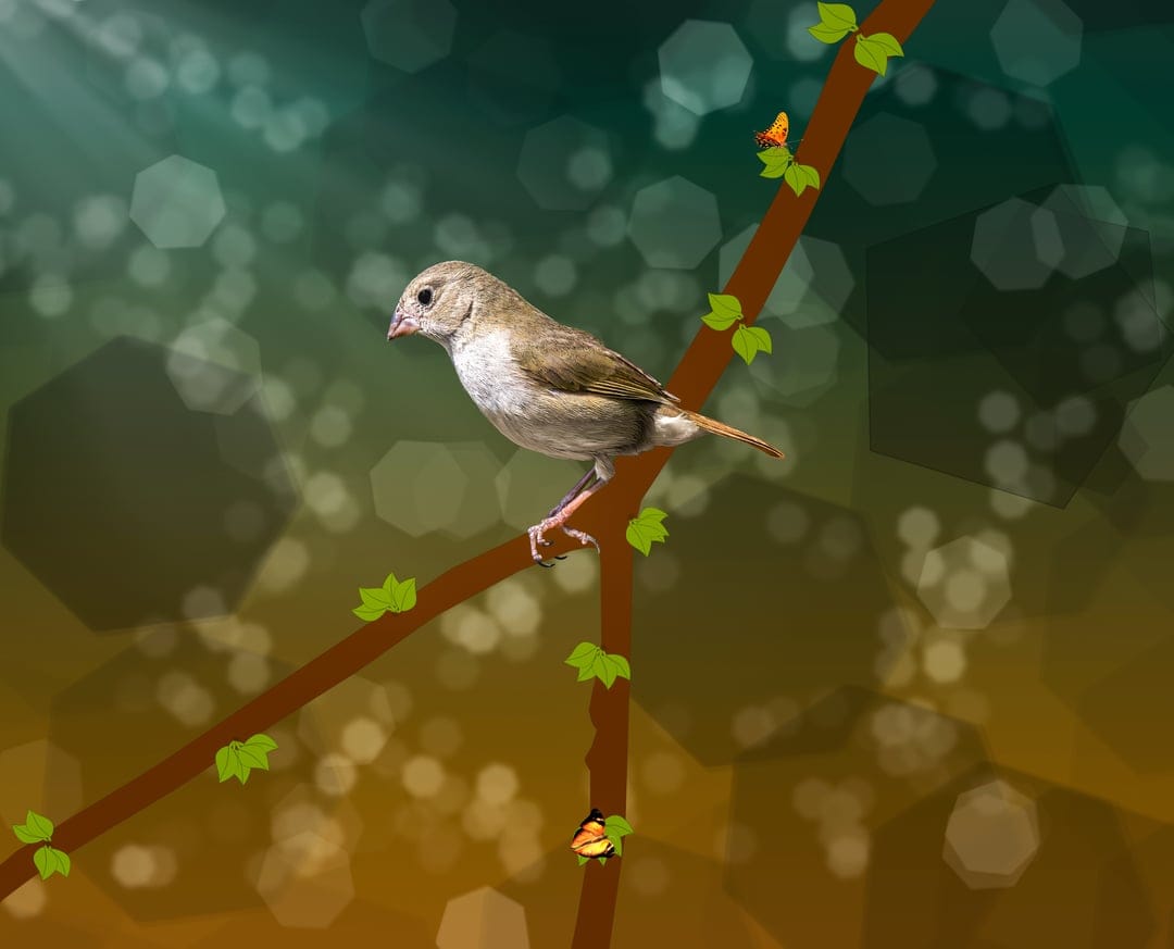 Light brown sparrow perched on a twig with orange butterflies against a teal and amber bokeh background.