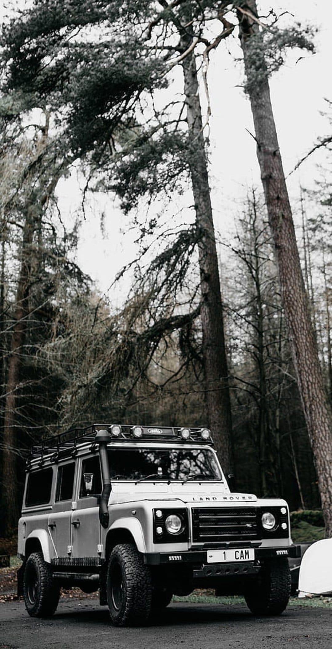 Land Rover Defender with a roof rack on an asphalt road surrounded by dark, leafless trees in a misty forest.