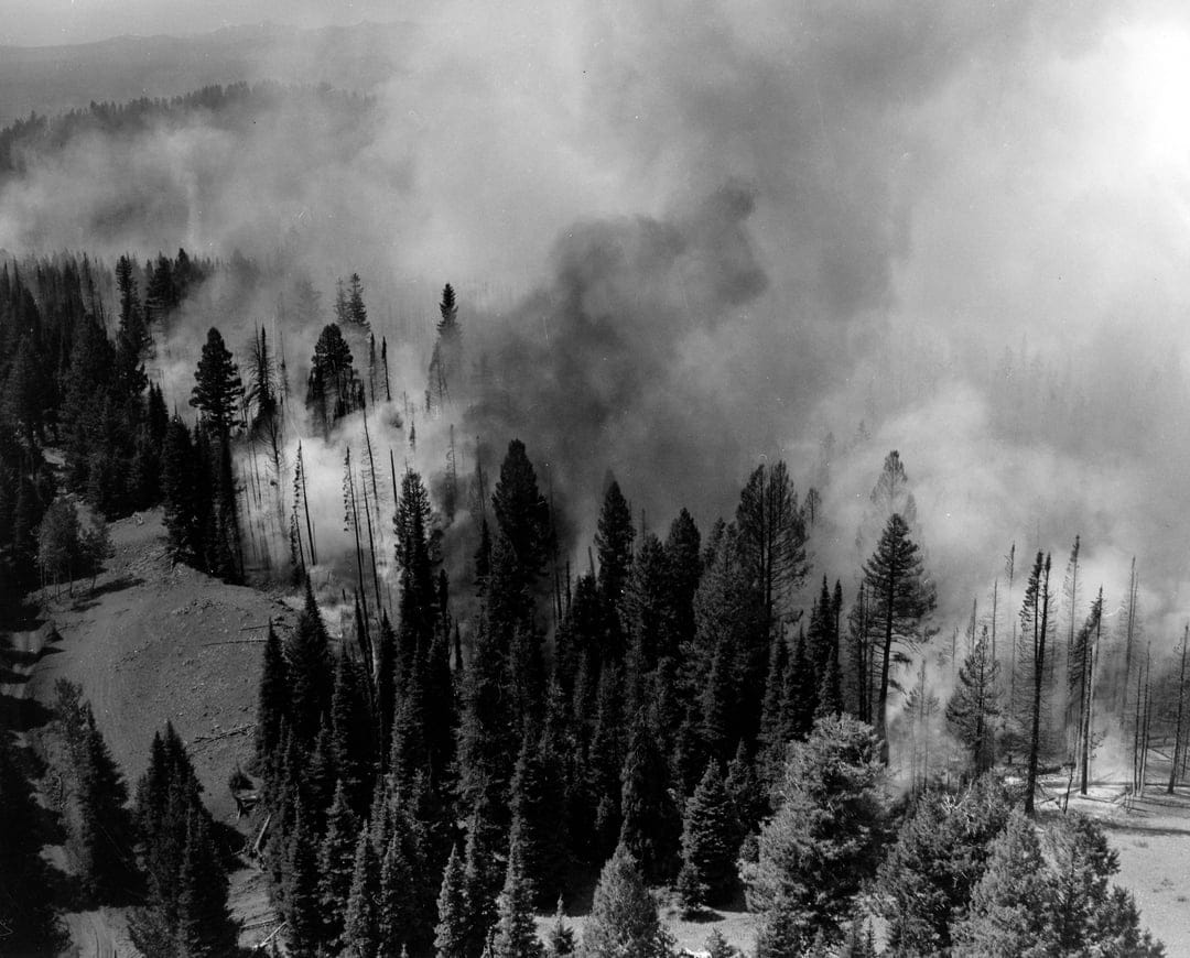 Thick plumes of black and white smoke billow from a dense forest fire captured from a high aerial perspective.