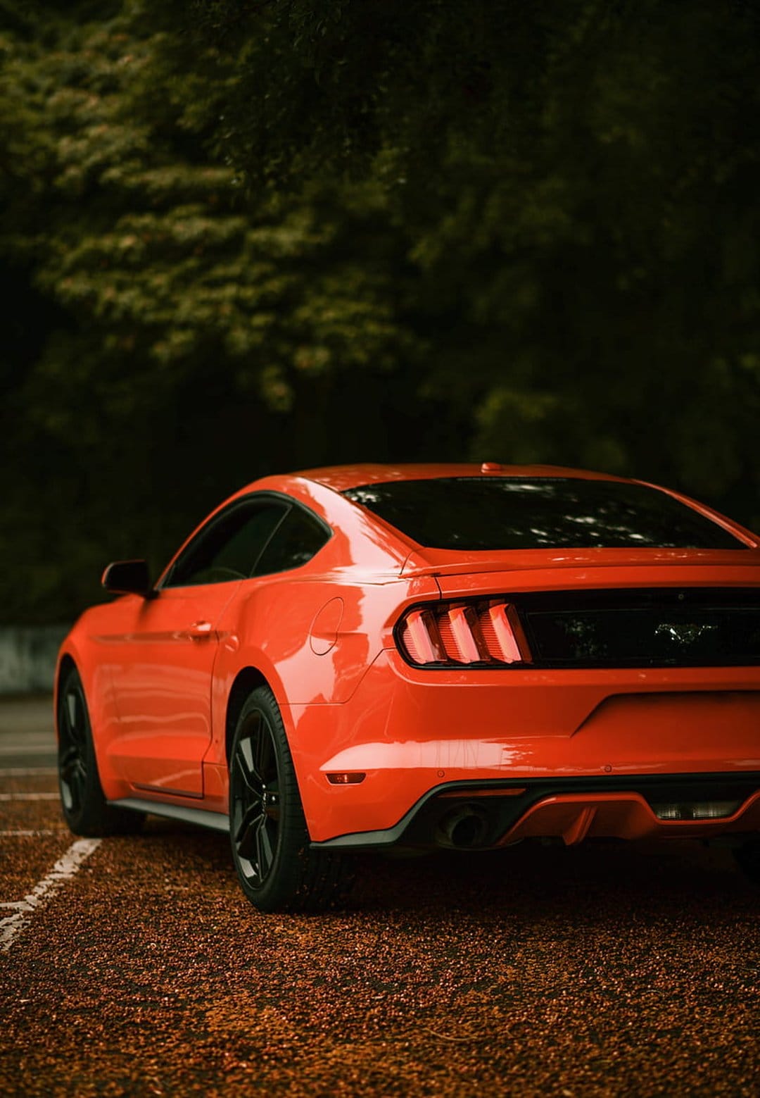 Ford Mustang rear view in bright orange with dual exhausts on gravel against a dark, out-of-focus forest.