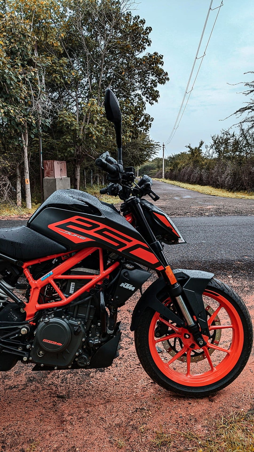 KTM Duke 250 motorcycle with orange frame parked on a wet asphalt road surrounded by green forest trees.