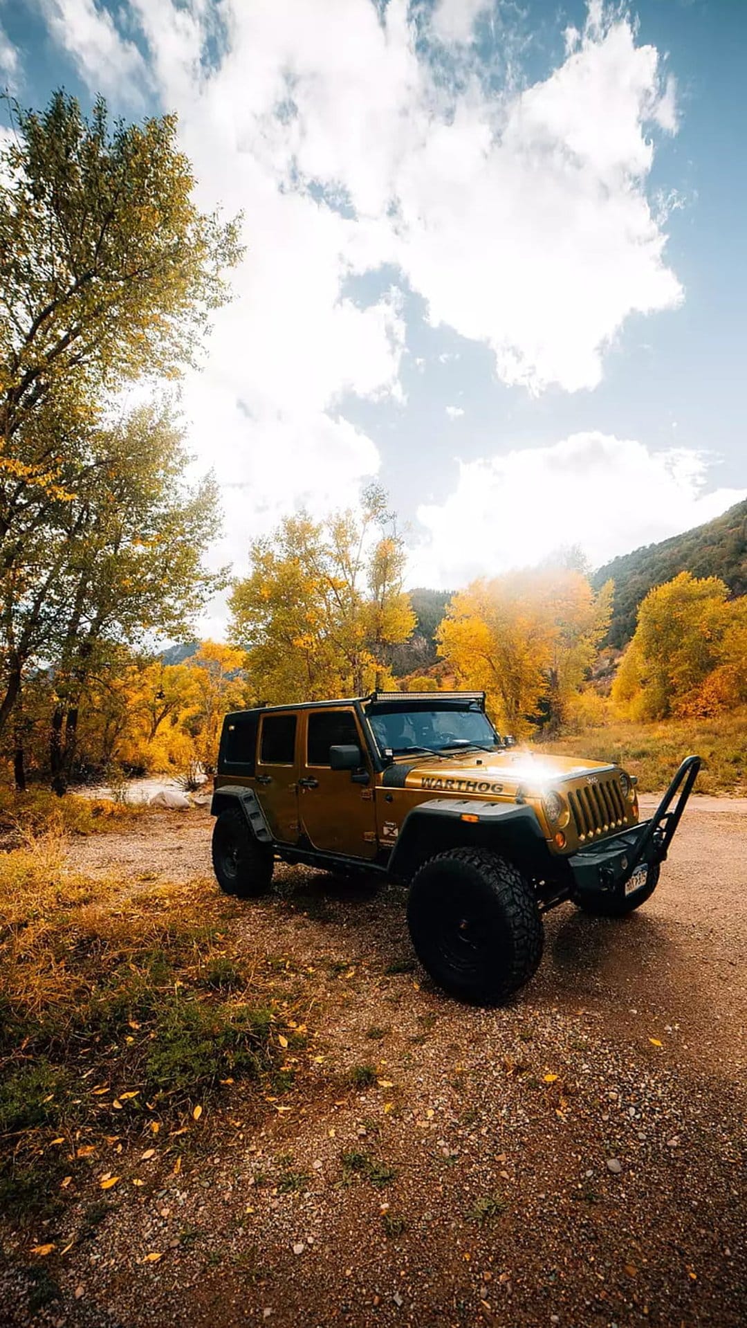 Golden Jeep Wrangler on a dirt road surrounded by yellow autumn trees and bright sunlight under a blue sky.