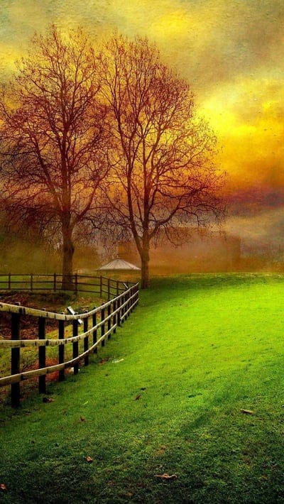 autumn, field, trees, fence, nature, peaceful, outdoor, beautiful, natural beauty, serene, scenic, tranquil, colorful, vibrant, rural, countryside, sunset, natural light, golden, picturesque