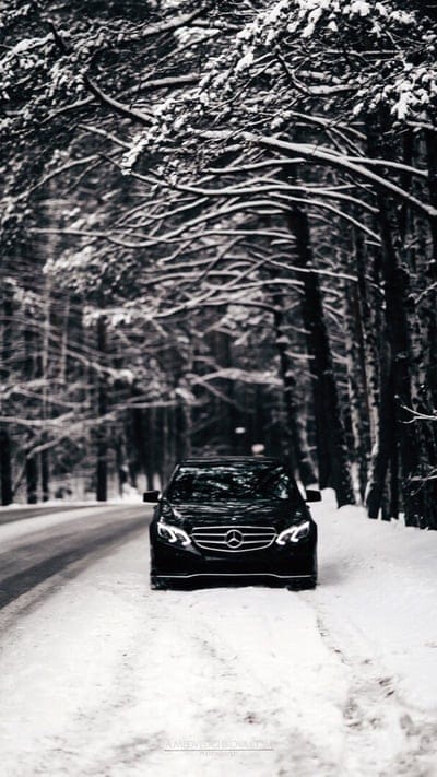 Mercedes Benz, amg, car, cats, snow, winter, mobile wallpaper, android wallpaper, iPhone wallpaper, phone wallpaper