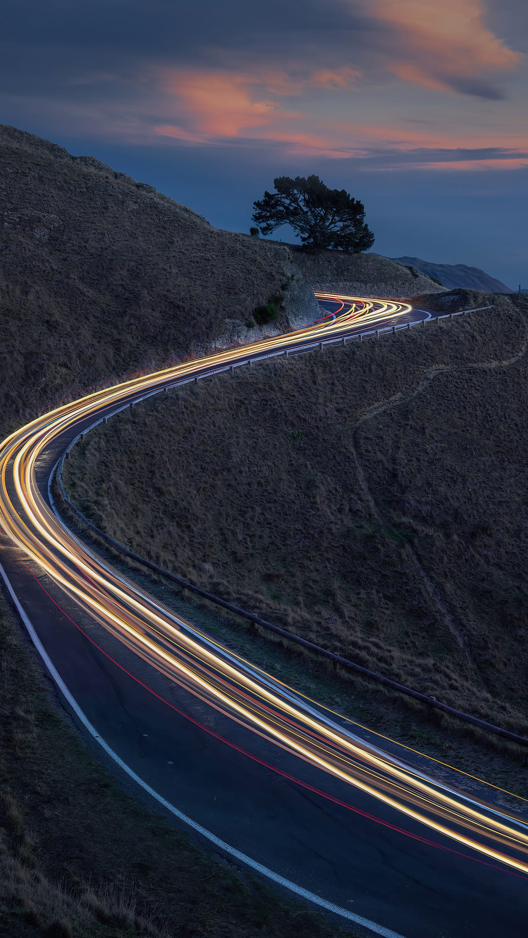 Glowing golden car light trails wind up a dark grassy hill toward a silhouetted tree under a dim twilight sky.