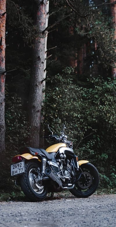 yamaha, bike, motorcycle, rear view, trees, mobile wallpaper, android wallpaper, iPhone wallpaper, phone wallpaper