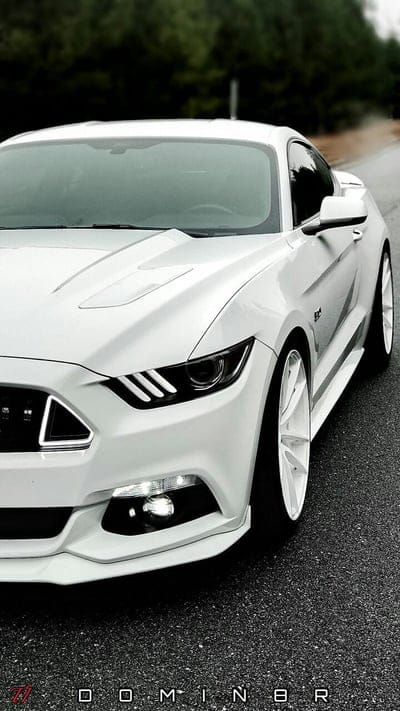 mustang, autos, car, charger, dodge, ford, mission, porche, turbo, mobile wallpaper, android wallpaper, iPhone wallpaper, phone wallpaper