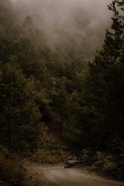 car, forest, trees, road, bushes, mobile wallpaper, android wallpaper, iPhone wallpaper, phone wallpaper