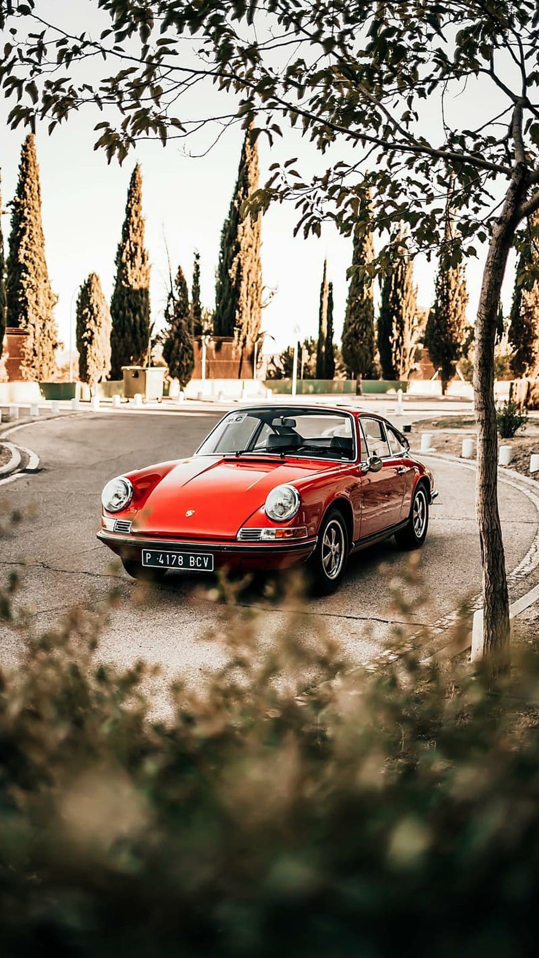 Vintage red Porsche 911 parked on a winding asphalt road surrounded by towering trees and dense green foliage.