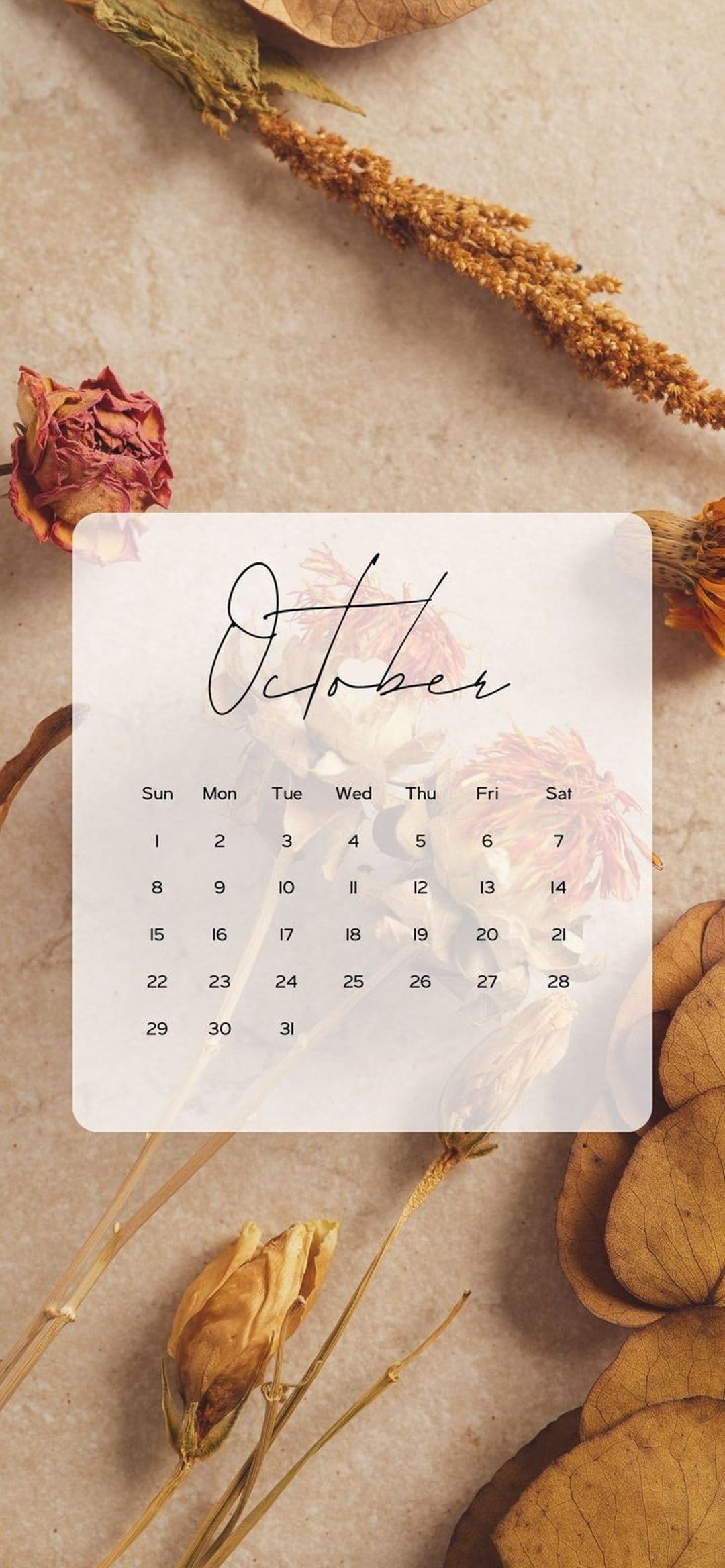 October monthly calendar grid surrounded by brittle dried flowers and orange autumn leaves on a rustic surface.