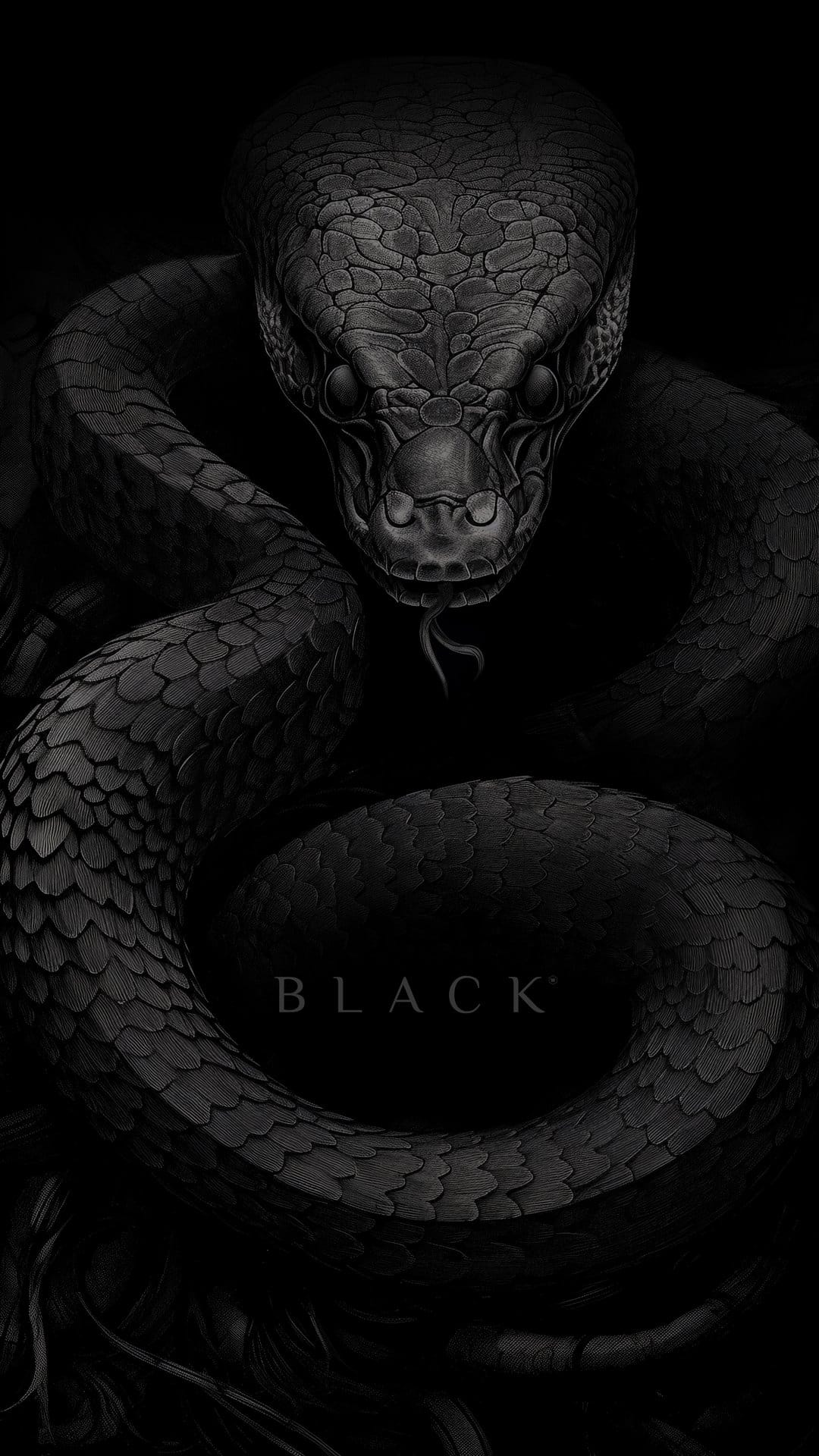 Black snake coiled in shadows with the word BLACK integrated into a dark, monochromatic vertical composition.