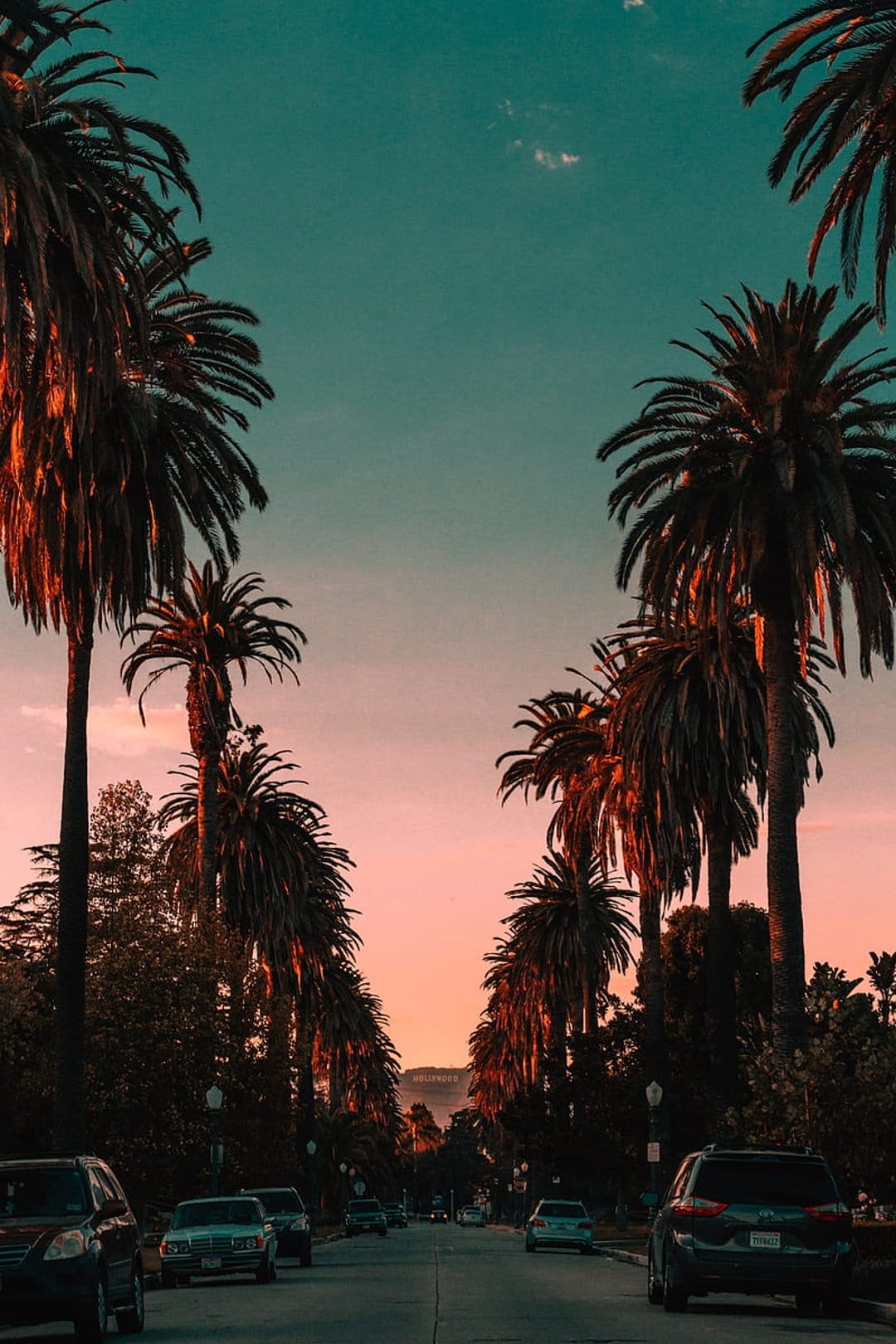 Tall palm trees line an LA street under a pink and teal twilight sky with silhouetted cars and distant hills.