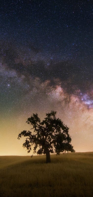 Milky Way, Night Sky, Tree, Stars, Galaxy, Astronomy, Landscape, Nature, Cosmos, Outdoors, Silhouette, Lone Tree, Celestial, Universe, Dark Sky, Astro-photography, Wonder, Peaceful, Field, Cosmic
