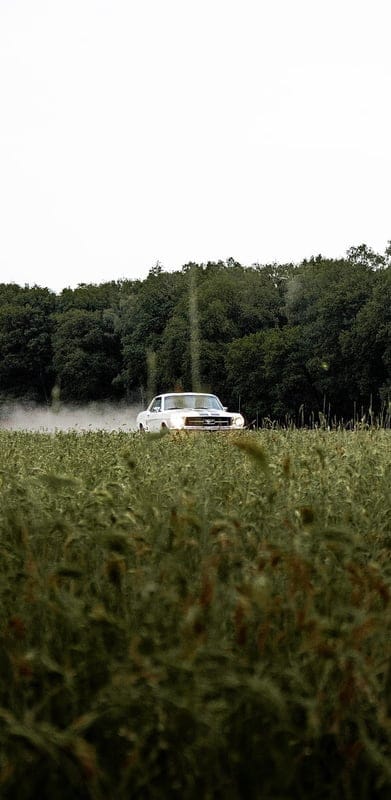 mustang, car, retro, vintage, grass, trees, mobile wallpaper, android wallpaper, iPhone wallpaper, phone wallpaper