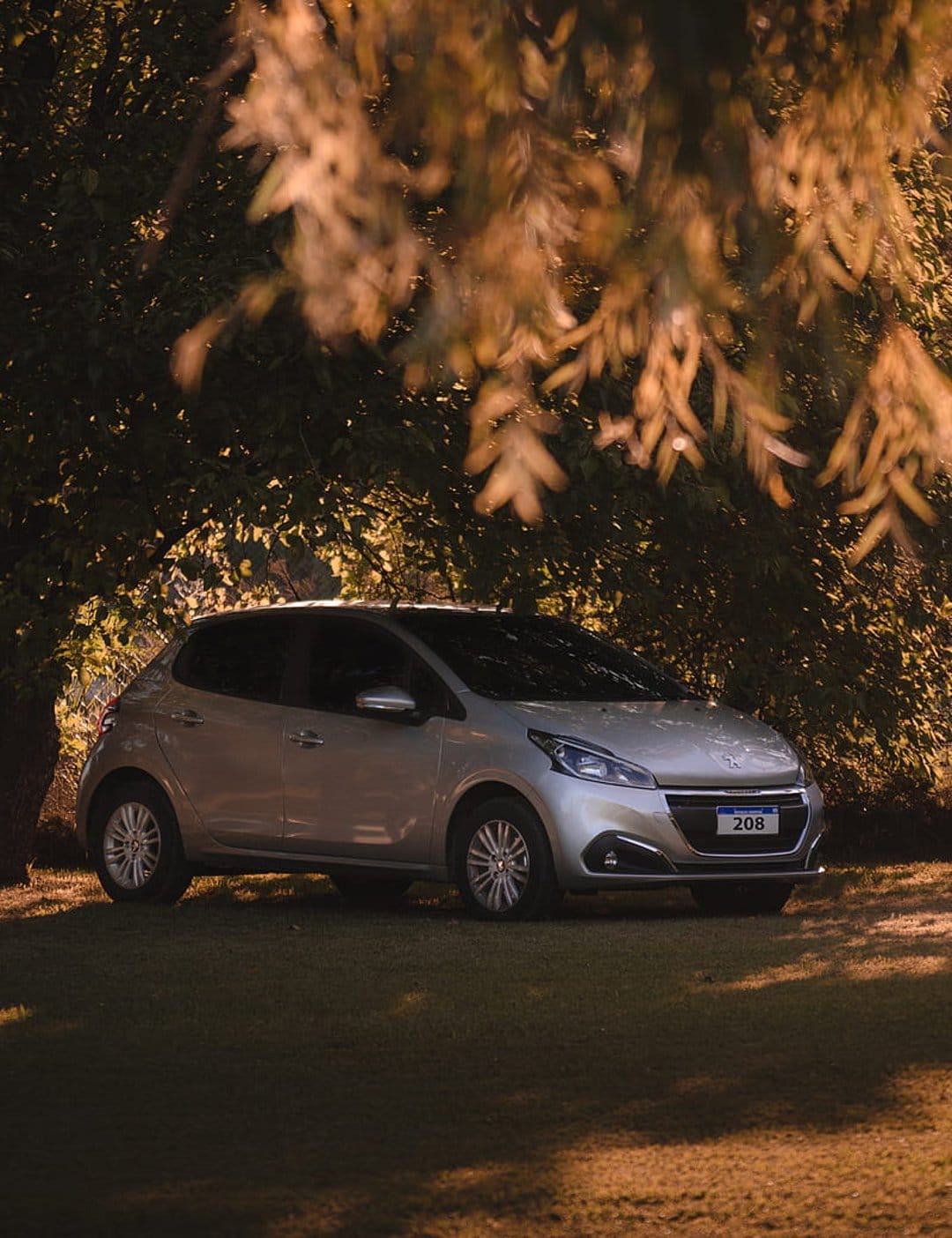 Silver Peugeot 208 car parked on a green lawn with sunlight filtering through tree leaves onto the front grille.