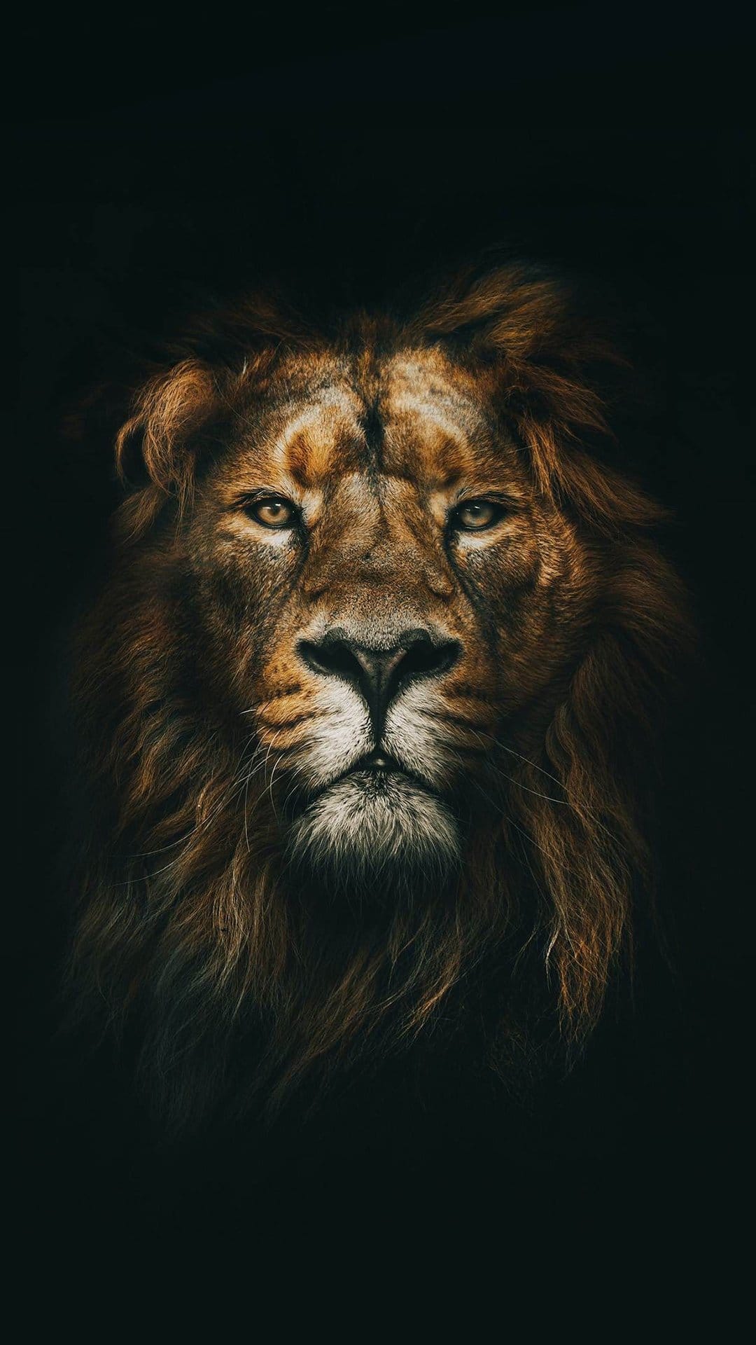 Lion with a detailed golden mane and intense eyes peers from dark shadows in a vertical wildlife portrait.