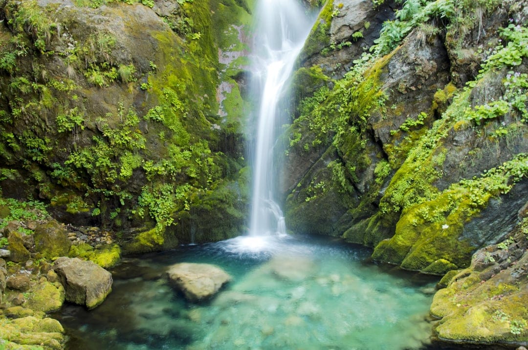 Tropical waterfall cascading over mossy rocks into a bright turquoise pond surrounded by dense green jungle plants.