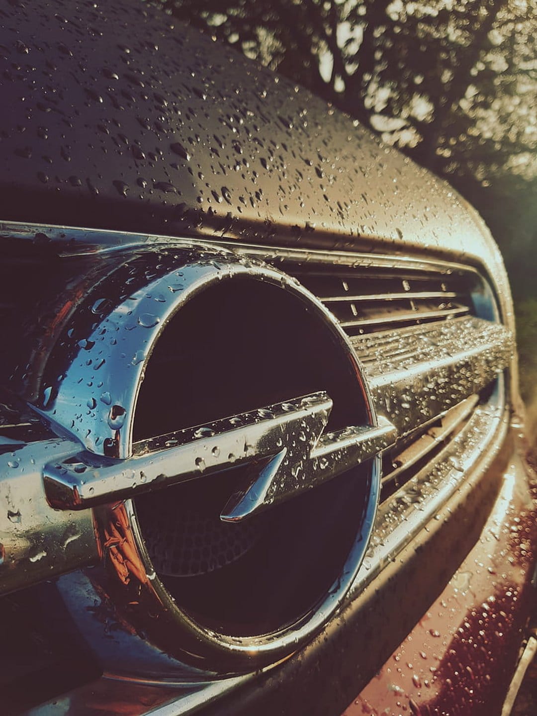 Chrome Opel emblem with sparkling water droplets and golden reflections against a soft bokeh forest backdrop.