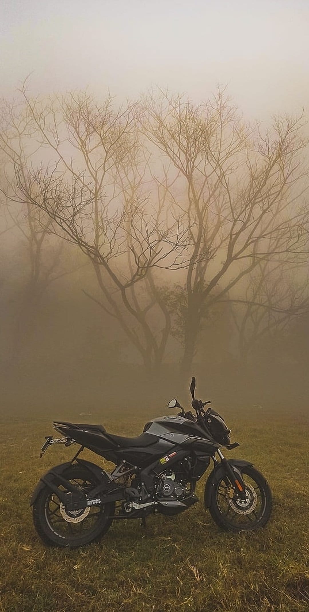 Black motorcycle parked in a grassy field surrounded by thick mist and silhouettes of bare tree branches.