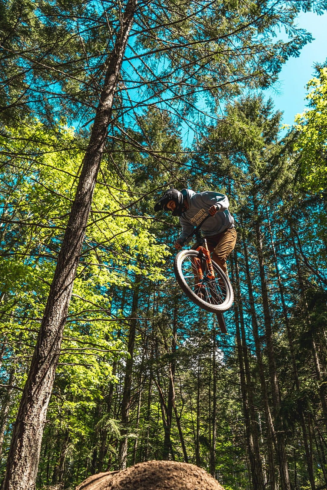 Mountain biker performs a jump mid-air surrounded by tall forest trees and sunlight filtering through leaves.