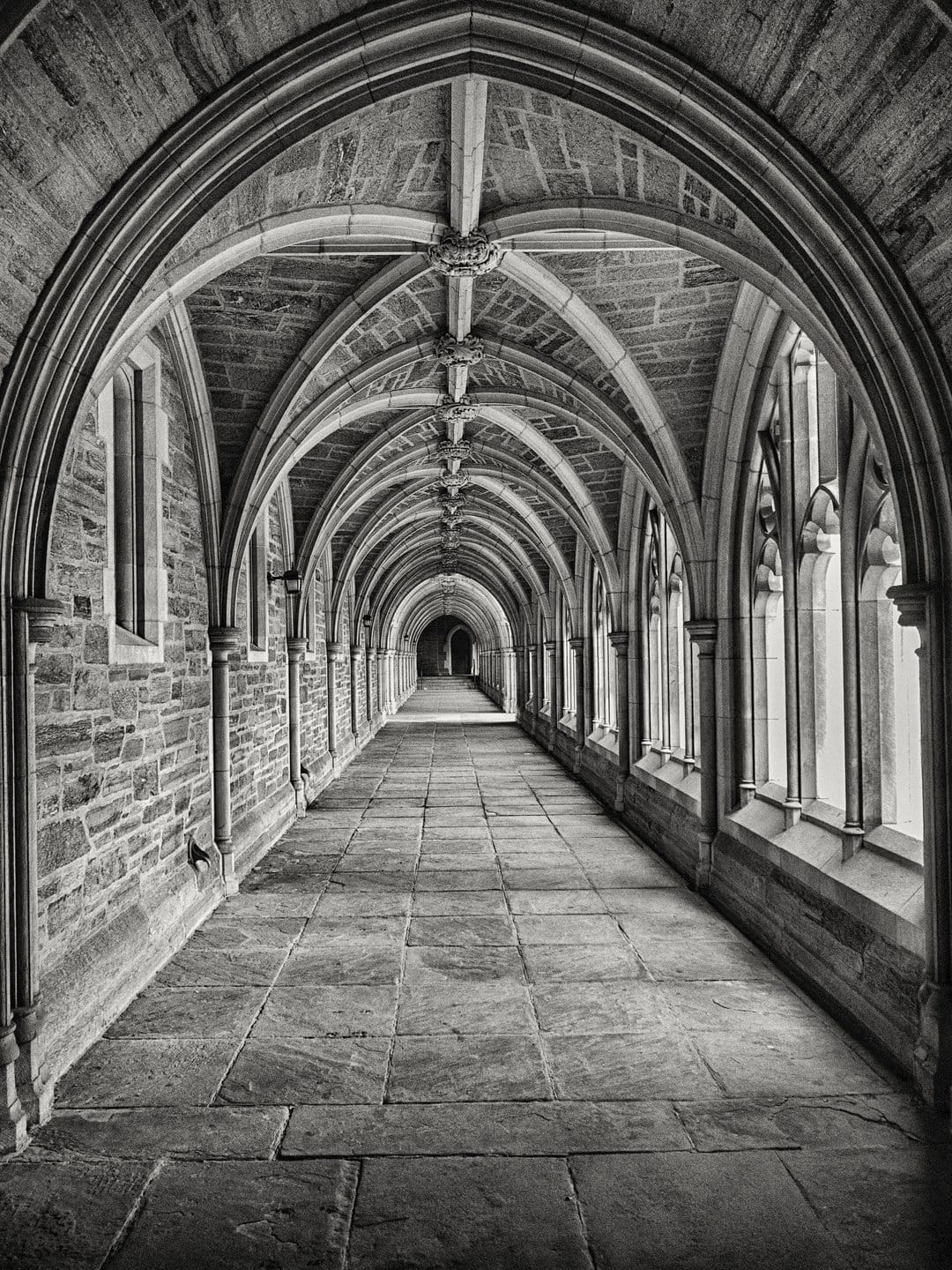 Gothic stone cloister featuring vaulted ceilings and arched windows in a monochrome perspective view.