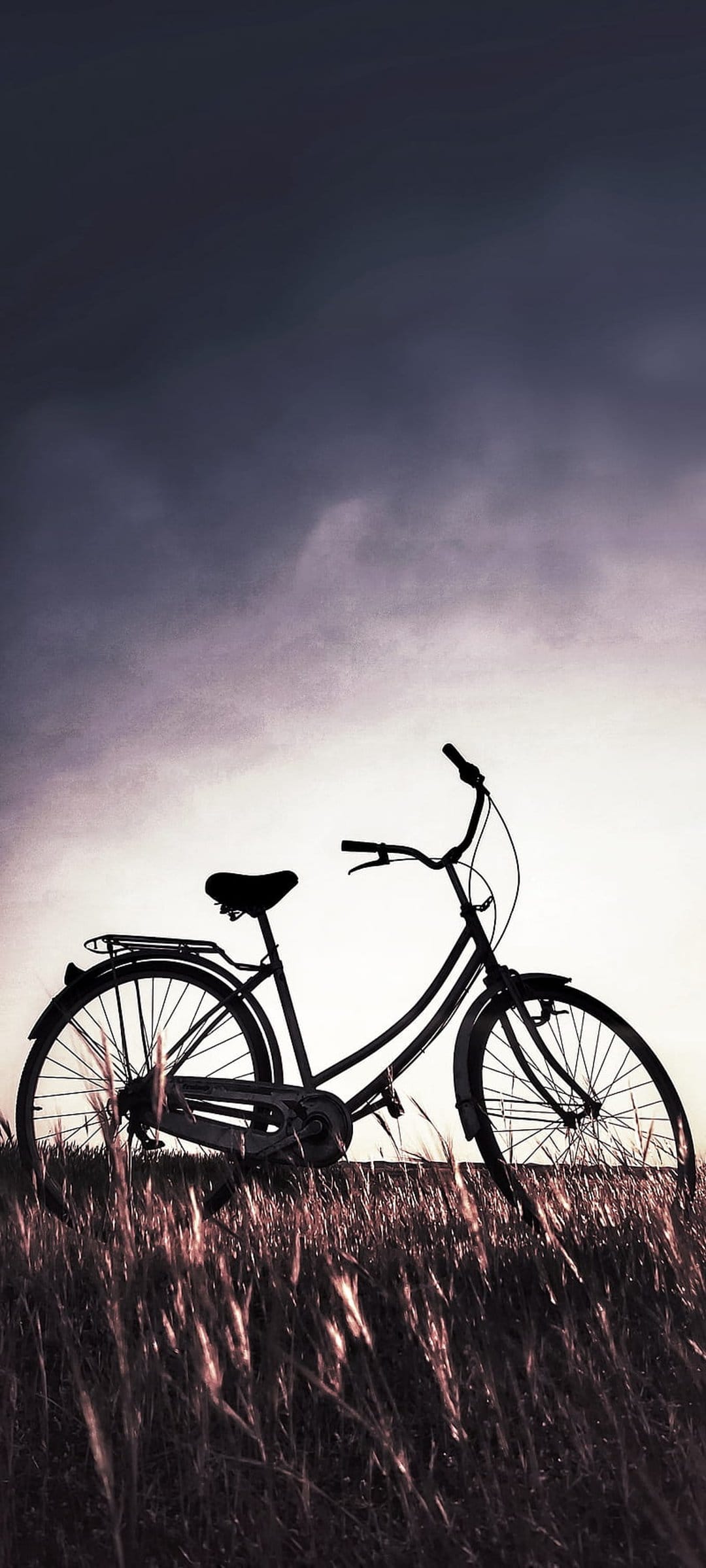 Vintage bicycle silhouette in a tall grass meadow under a dark, dramatic cloudy sky during evening twilight.