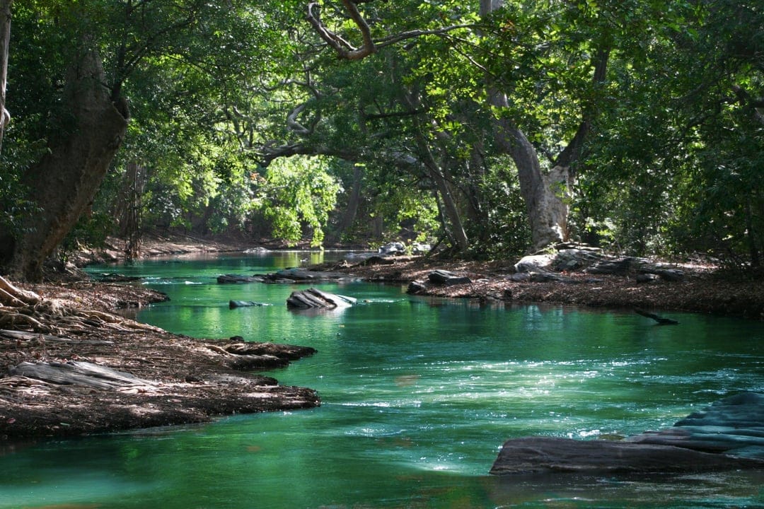 Crystalline emerald river flows through a dense sunlit jungle with light rays hitting the mossy rocks and water.