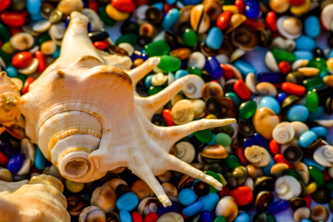 Ivory seashell surrounded by translucent blue, green, and red glass beads with a soft blurred background.