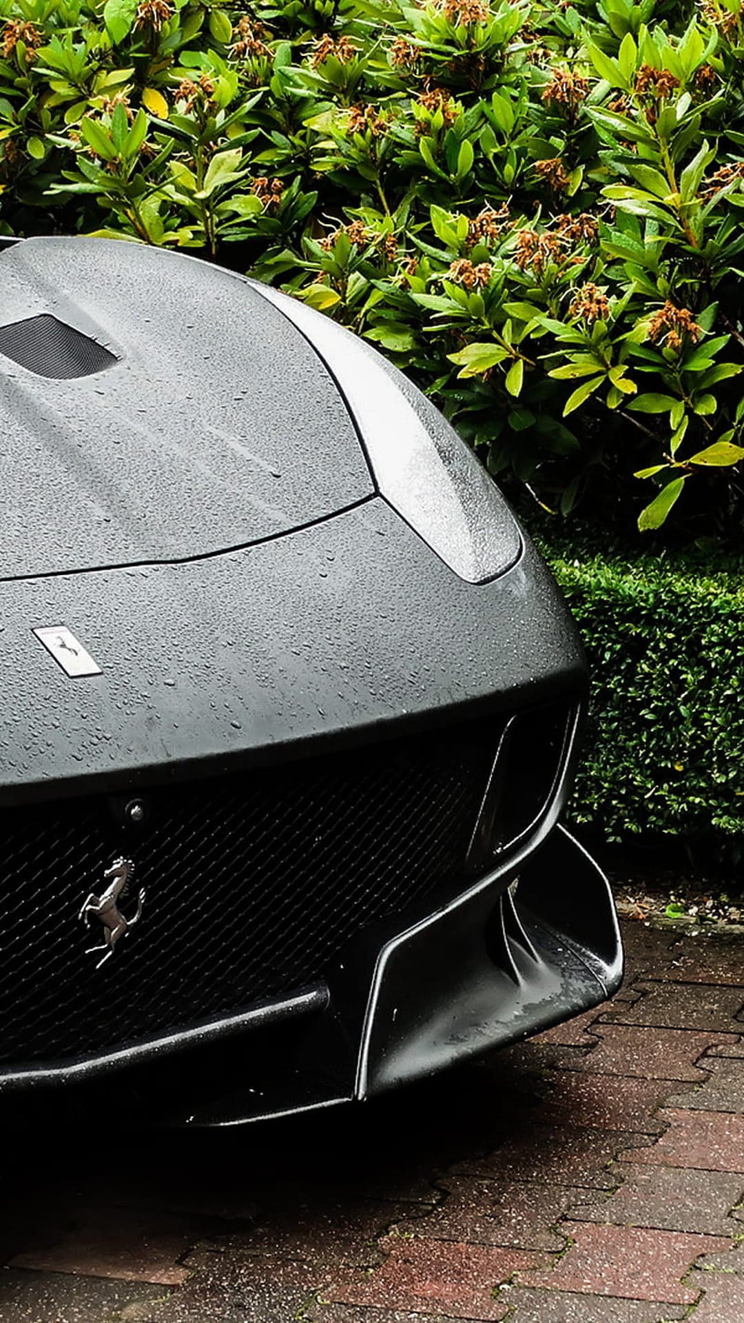 Black Ferrari grille with a silver prancing horse emblem covered in water droplets against green foliage.