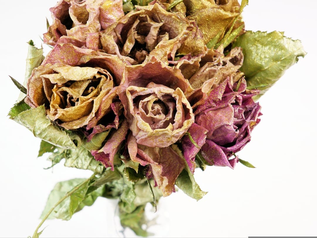 Wilted rose petals with delicate textures in shades of dusty pink and brown fill a vertical macro view.