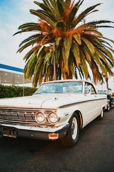 car, retro, old, white, palm tree, mobile wallpaper, android wallpaper, iPhone wallpaper, phone wallpaper