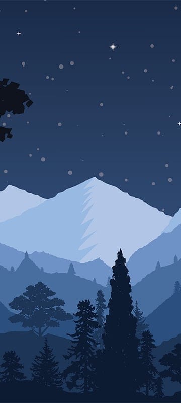 aesthetic