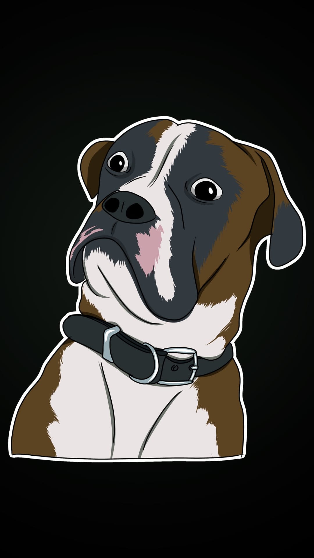 Boxer dog with brown and white fur looks up while wearing a black collar against a dark solid background.