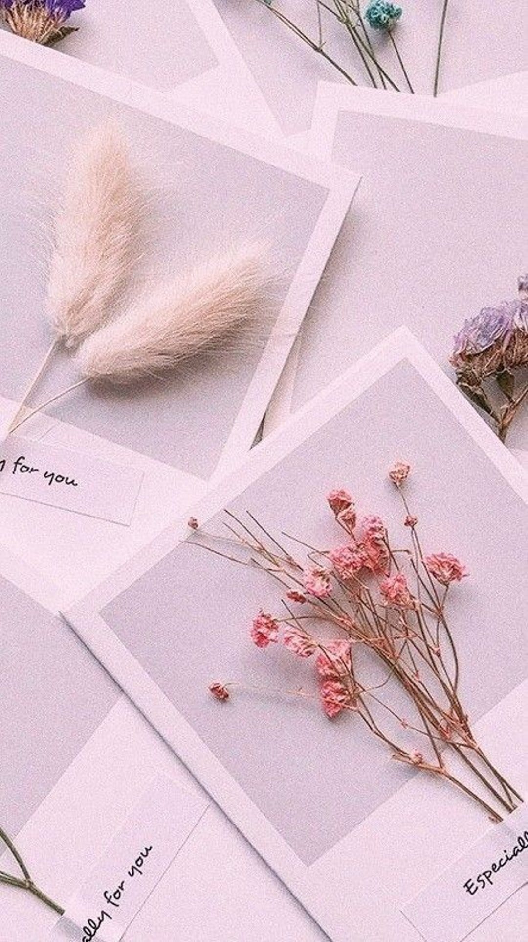 Pink dried flower sprigs and white plumes rest on soft pastel cards with elegant cursive handwriting.
