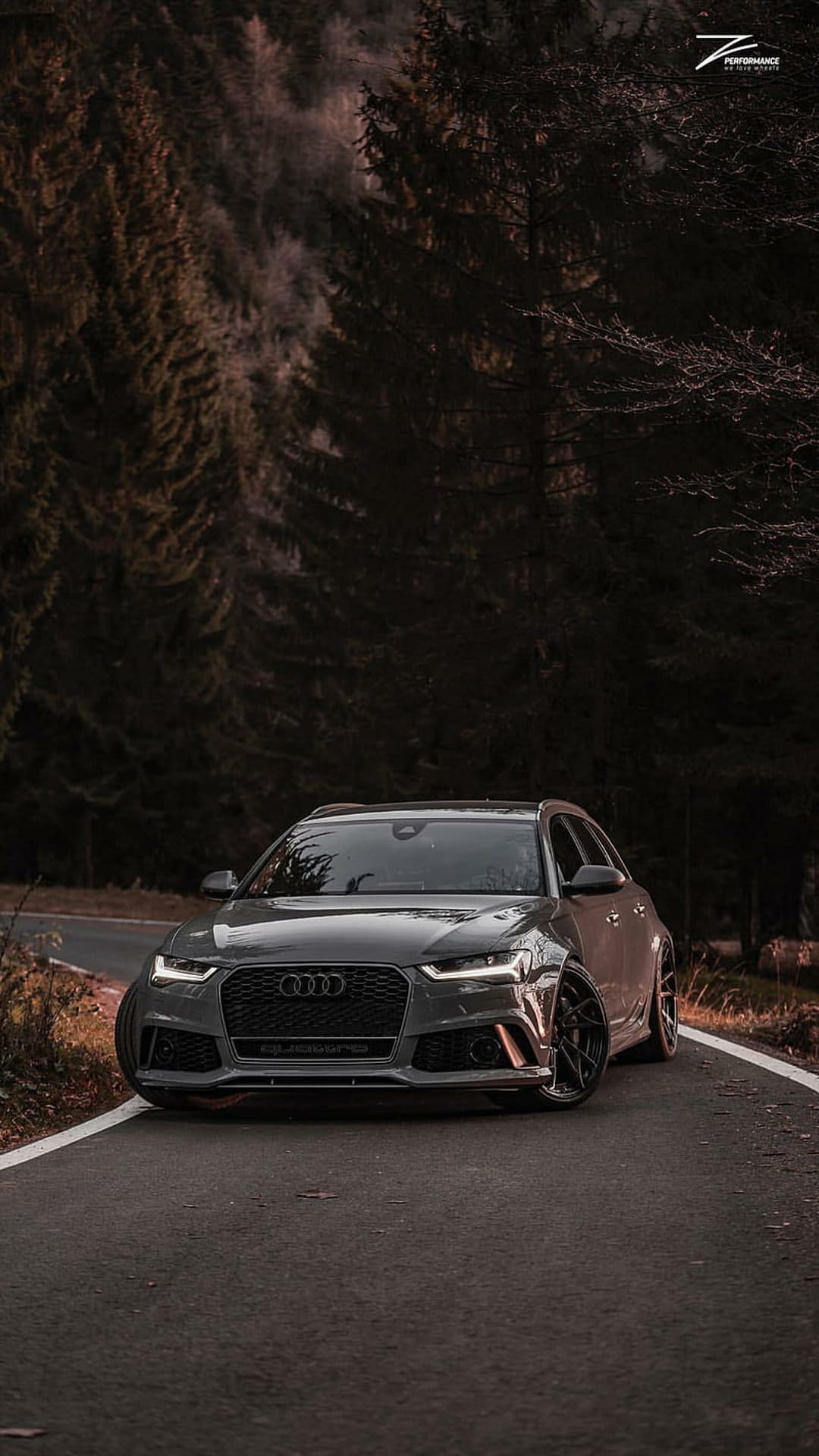 Audi RS6 Avant in grey driving on a winding asphalt road through a dense dark forest with tall pine trees.