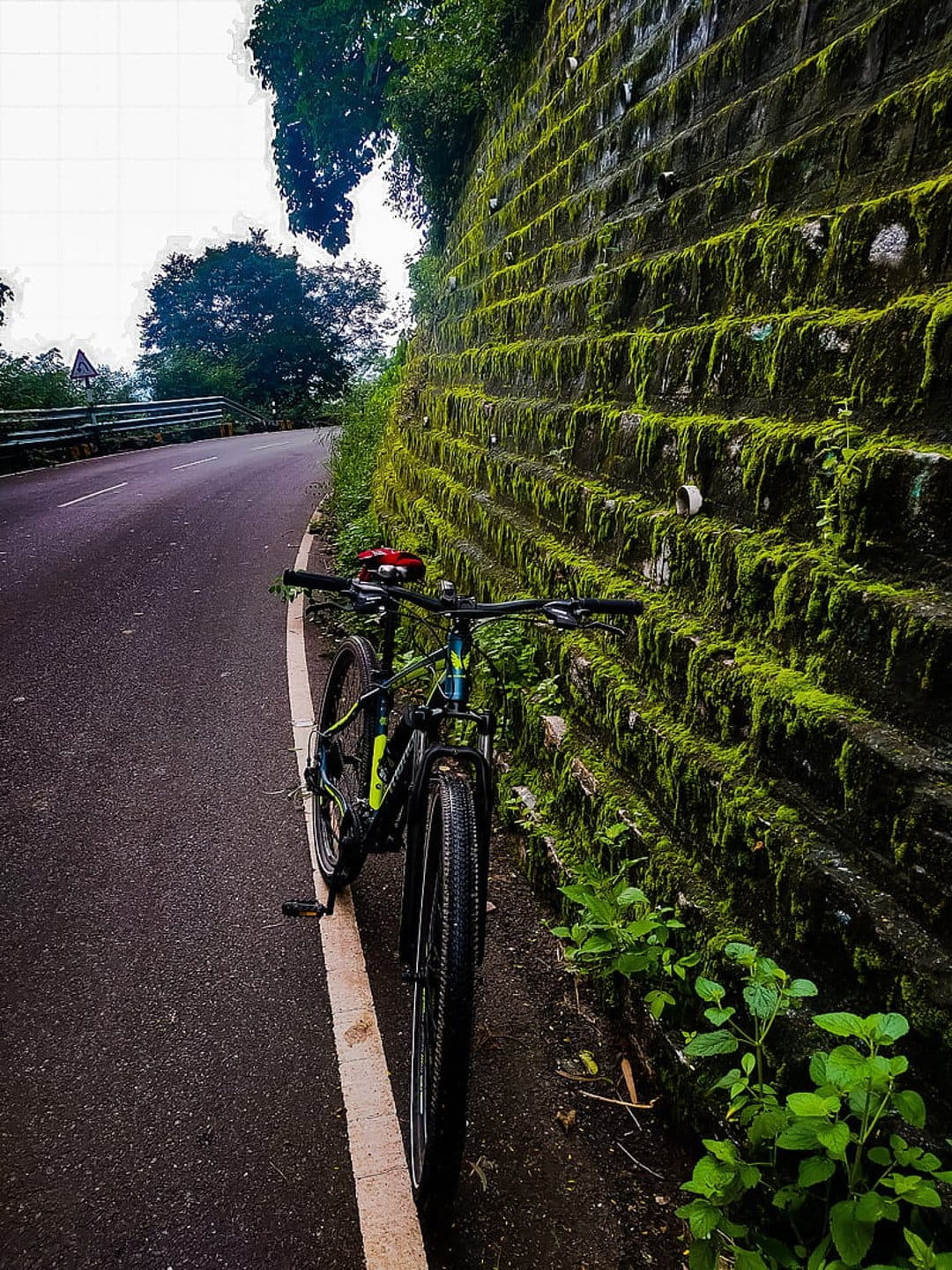 Mountain bike rests against a green mossy stone wall alongside a winding rural asphalt road in the forest.