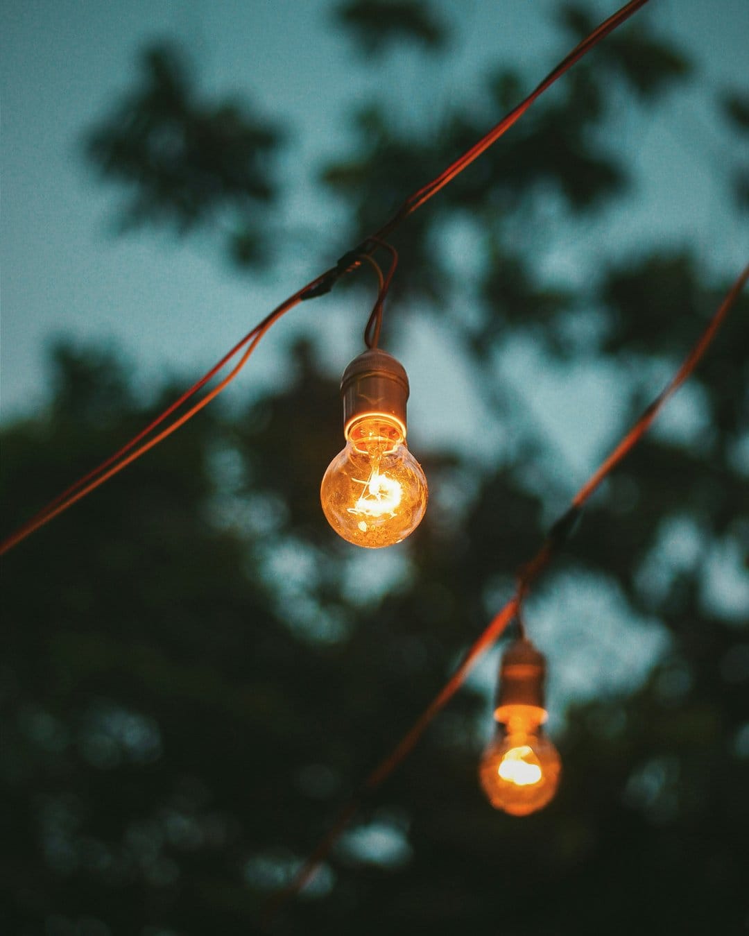 Amber Edison bulbs with glowing filaments hang before a blurred twilight sky and dark silhouettes of distant trees.