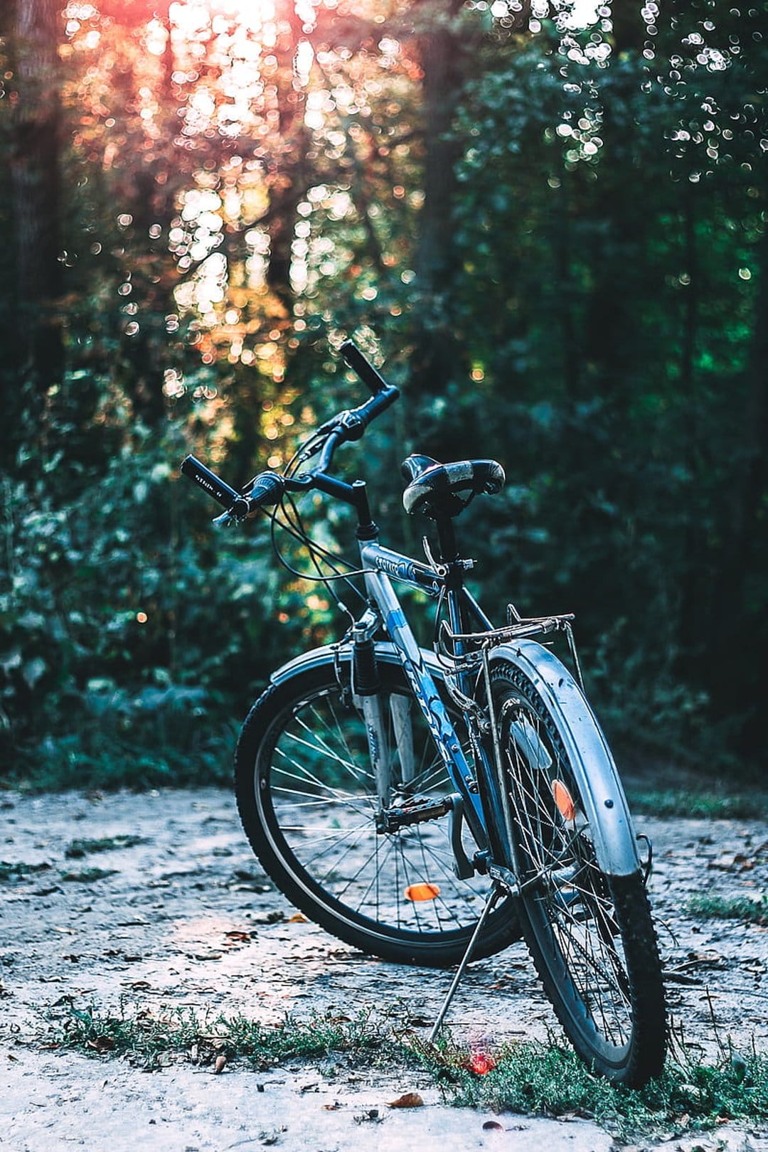 Blue bicycle parked on a dirt forest trail with warm sunlight filtering through trees and soft bokeh background.