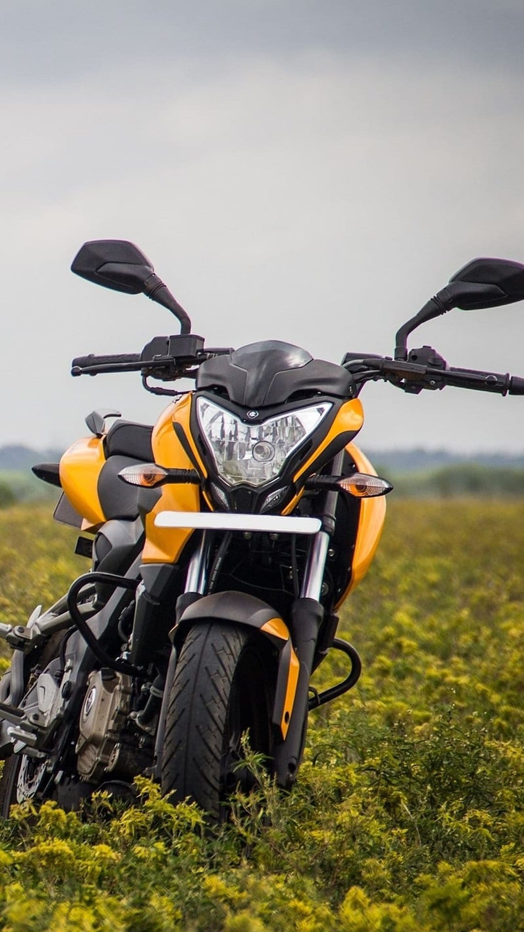 Yellow sport motorcycle parked in a dense field of yellow wildflowers under a soft, overcast gray sky.