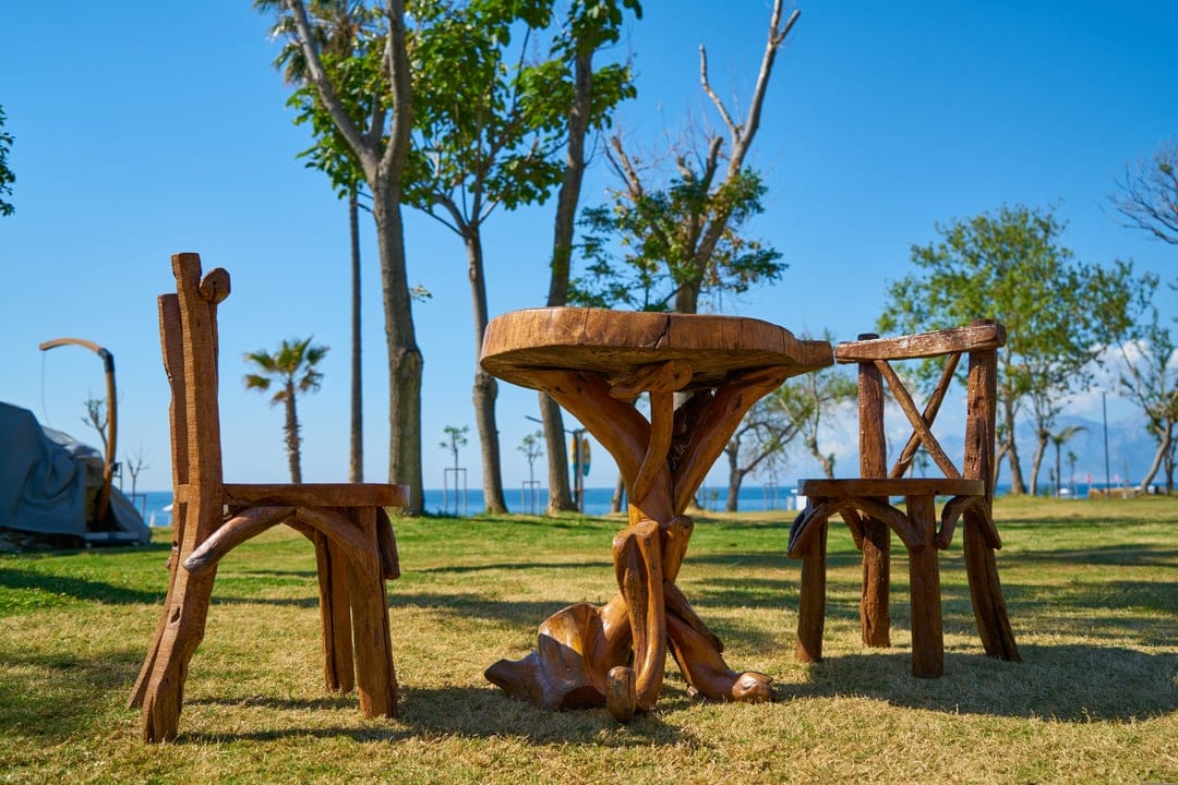 Rustic wooden table and chairs sit on a green park lawn under a blue sky with palm trees and a distant ocean view.