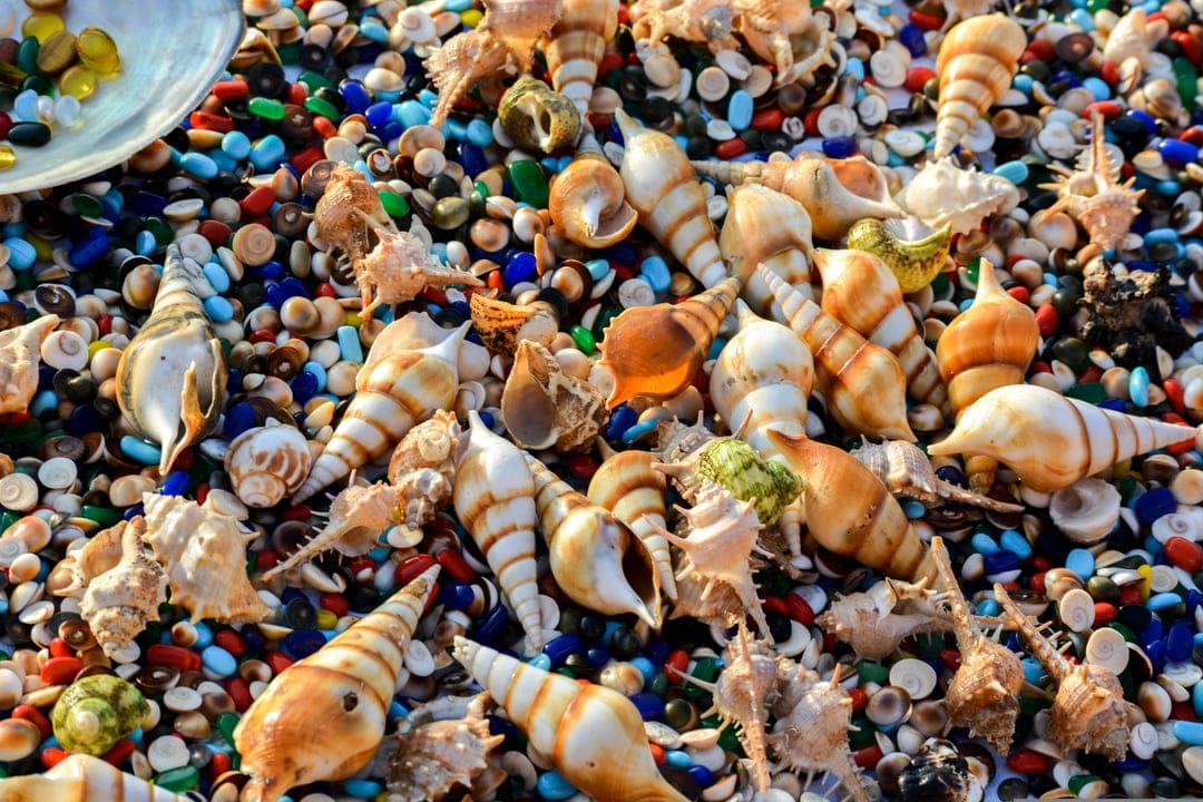 Spiral conches and spiky seashells nestled among smooth red, blue, and green tumbled glass pebbles, overhead.