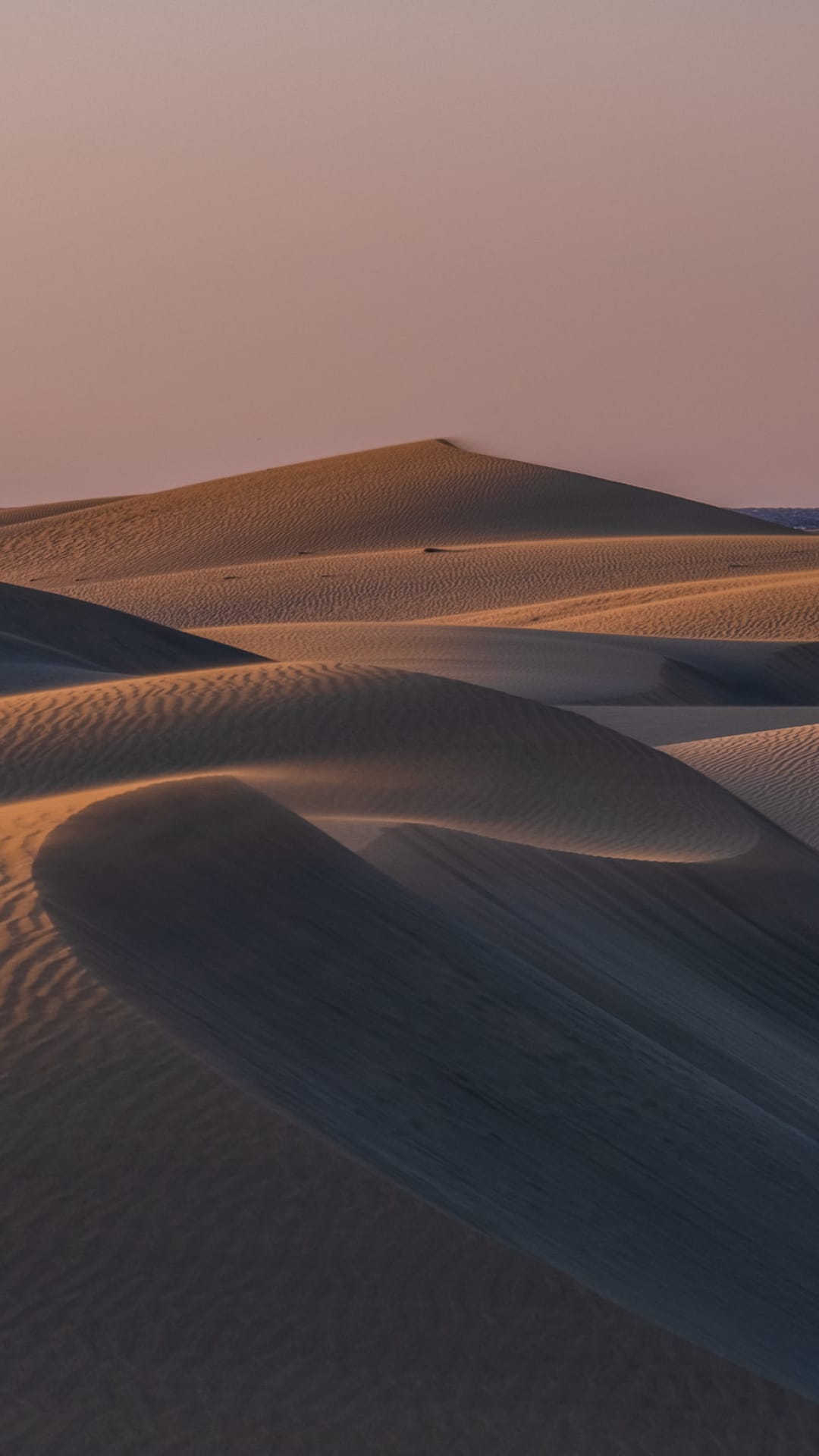 Wind-sculpted sand dunes ripple toward the horizon under a soft orange and pink sunset sky in Gran Canaria.