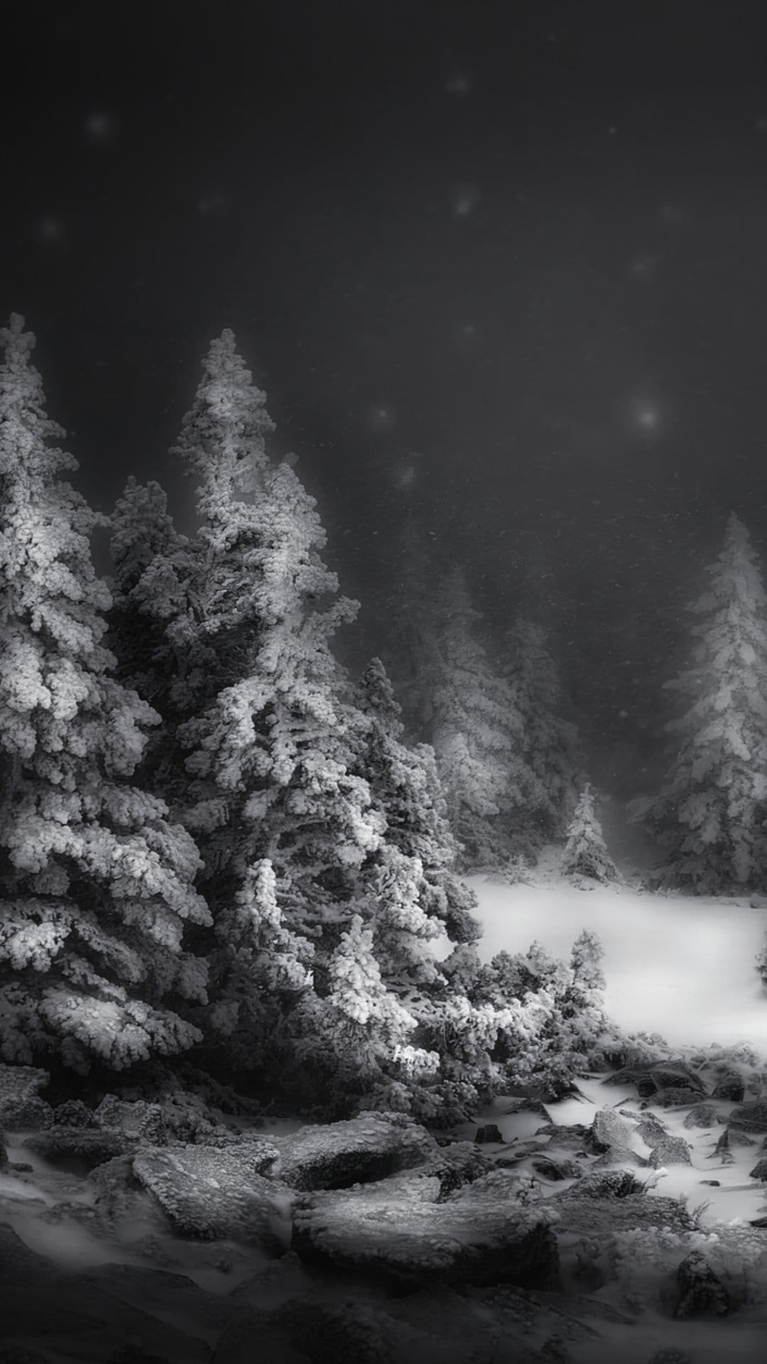 Heavy snow blankets towering pine trees and jagged rocks under a dark sky with faint starlight at night.