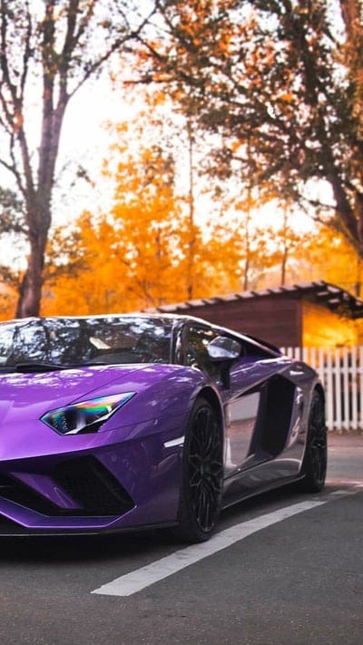 Aventador S, lamborghini, purple, car, supercar, sports, america, new, autumn, mobile wallpaper, android wallpaper, iPhone wallpaper, phone wallpaper